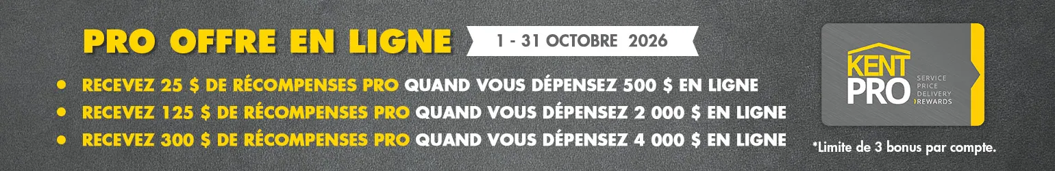 Pro offre en ligne Banner