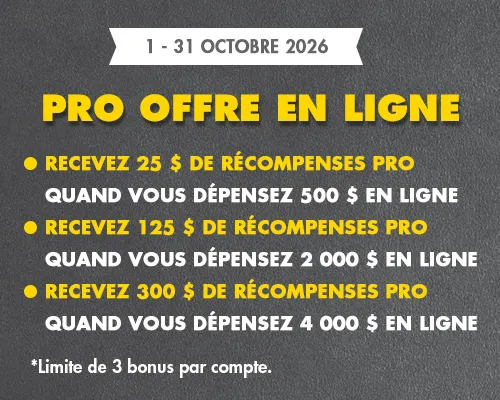 Pro offre en ligne Banner