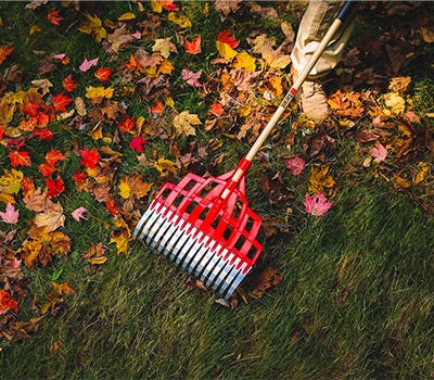 Lawn & Garden Tools Image